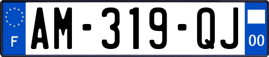 AM-319-QJ
