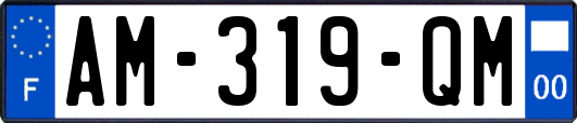AM-319-QM
