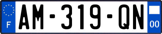 AM-319-QN