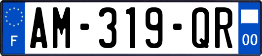 AM-319-QR