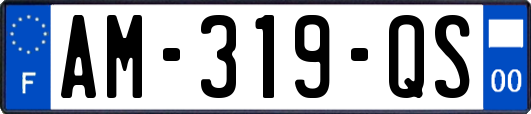 AM-319-QS