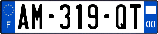 AM-319-QT