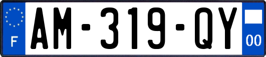 AM-319-QY