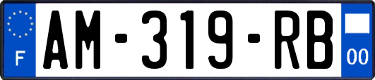 AM-319-RB