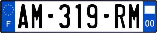 AM-319-RM