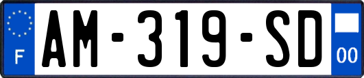 AM-319-SD