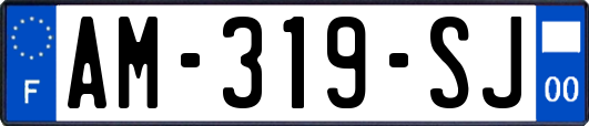 AM-319-SJ