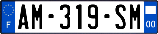 AM-319-SM