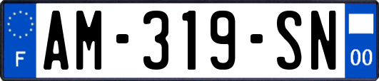 AM-319-SN