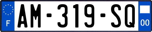 AM-319-SQ