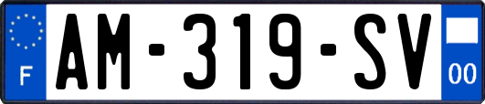 AM-319-SV