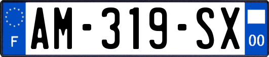 AM-319-SX