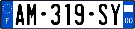 AM-319-SY