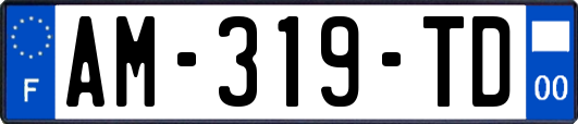 AM-319-TD