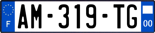 AM-319-TG