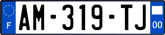 AM-319-TJ