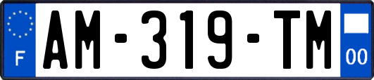 AM-319-TM
