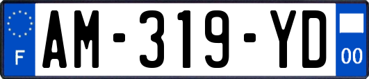 AM-319-YD