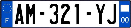 AM-321-YJ