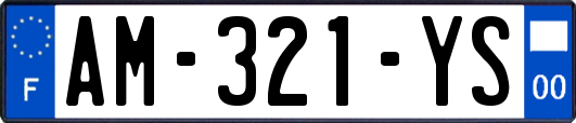 AM-321-YS