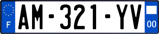 AM-321-YV