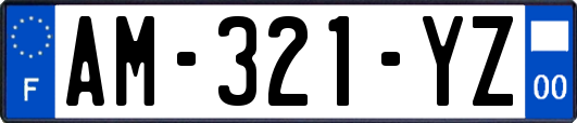 AM-321-YZ