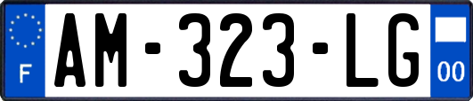 AM-323-LG
