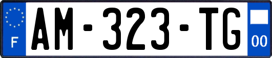 AM-323-TG