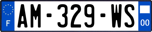 AM-329-WS