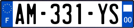 AM-331-YS
