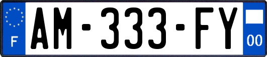 AM-333-FY