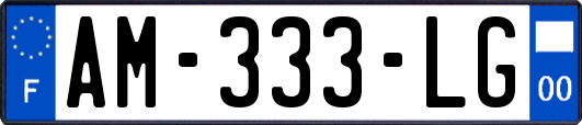 AM-333-LG