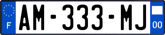 AM-333-MJ