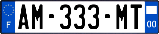AM-333-MT