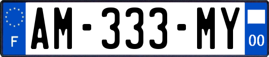 AM-333-MY