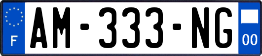 AM-333-NG
