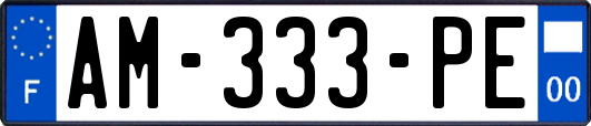 AM-333-PE
