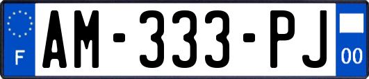 AM-333-PJ