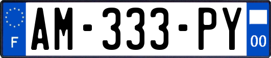 AM-333-PY