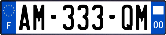 AM-333-QM