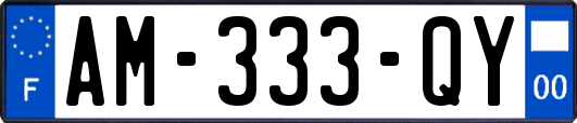 AM-333-QY