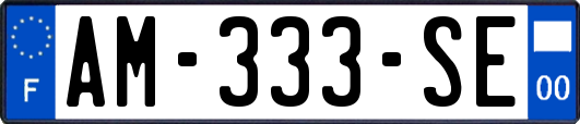 AM-333-SE