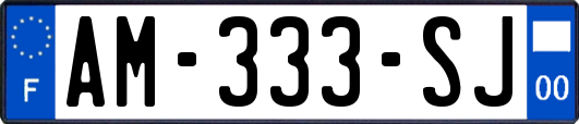 AM-333-SJ