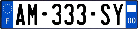AM-333-SY