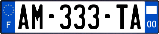 AM-333-TA