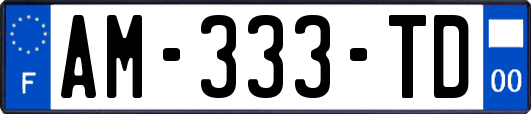 AM-333-TD