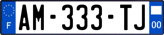AM-333-TJ
