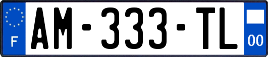 AM-333-TL