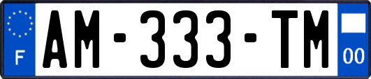 AM-333-TM