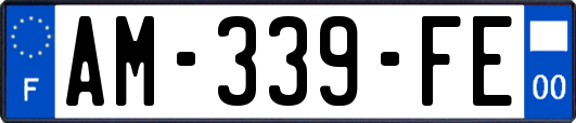 AM-339-FE